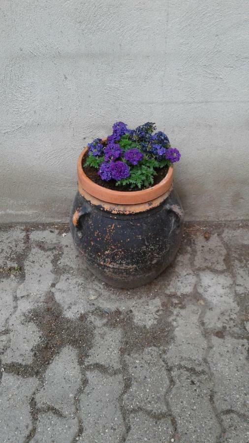 Martorey Cir 10 Verrès Dış mekan fotoğraf